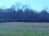 Battlefield near Chad's Ford 2.JPG (148136 bytes)