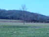Battlefield near Chad's Ford.JPG (153302 bytes)