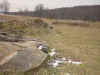 Brandywine Earthworks.JPG (159359 bytes)