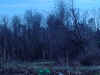 Scene near Dilworthtown.JPG (148209 bytes)